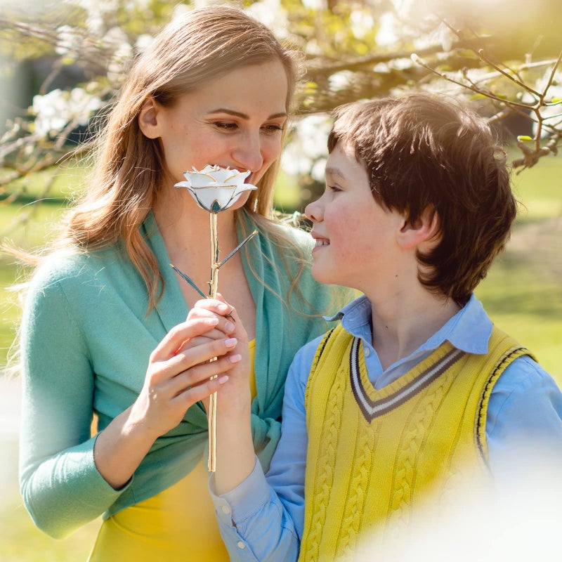 SW هدايا وردة ذهبية بيضاء للنساء الزوجات، وردة حقيقية مغطاة بالذهب عيار 24 تدوم إلى الأبد مع قاعدة لها، عيد الميلاد، عيد الحب، عيد الأم، عيد الميلاد، - Image 3