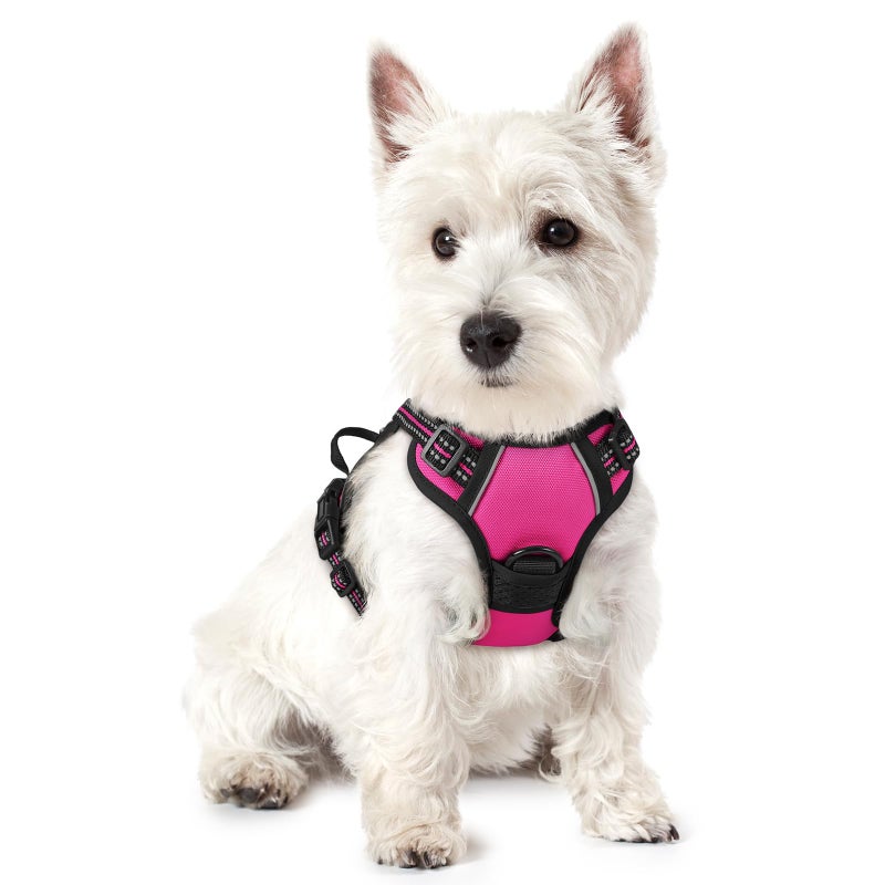 rabbitgoo Dog Harness No Pull with 2 Leash Clips, Adjustable Soft Padded, Reflective Oxford No Choke Pet Vest with Easy Control Handle for Puppy, Hot Pink, XS - Image 1