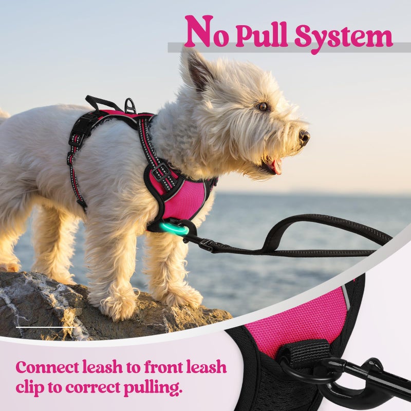 rabbitgoo Dog Harness No Pull with 2 Leash Clips, Adjustable Soft Padded, Reflective Oxford No Choke Pet Vest with Easy Control Handle for Puppy, Hot Pink, XS - Image 5