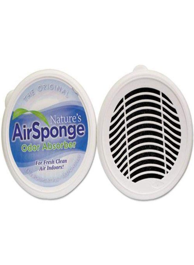 Delta Marketing INTL 101-1DP Nature's Airsponge Odor Absorber, 1/2 LB - Image 2