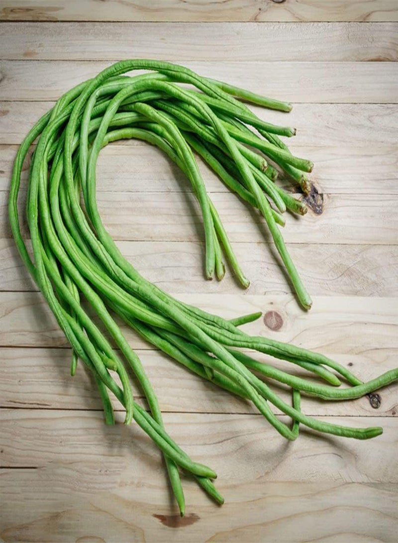 جي جوت 20 قطعة من بذور اللوبياء القديمة، بذور خضراوات للزراعة في الهواء الطلق، بذور الفاصوليا الطويلة سهلة الإدارة، منخفضة الصيانة، شائعة لدى البستانيين المبتدئين - Image 2