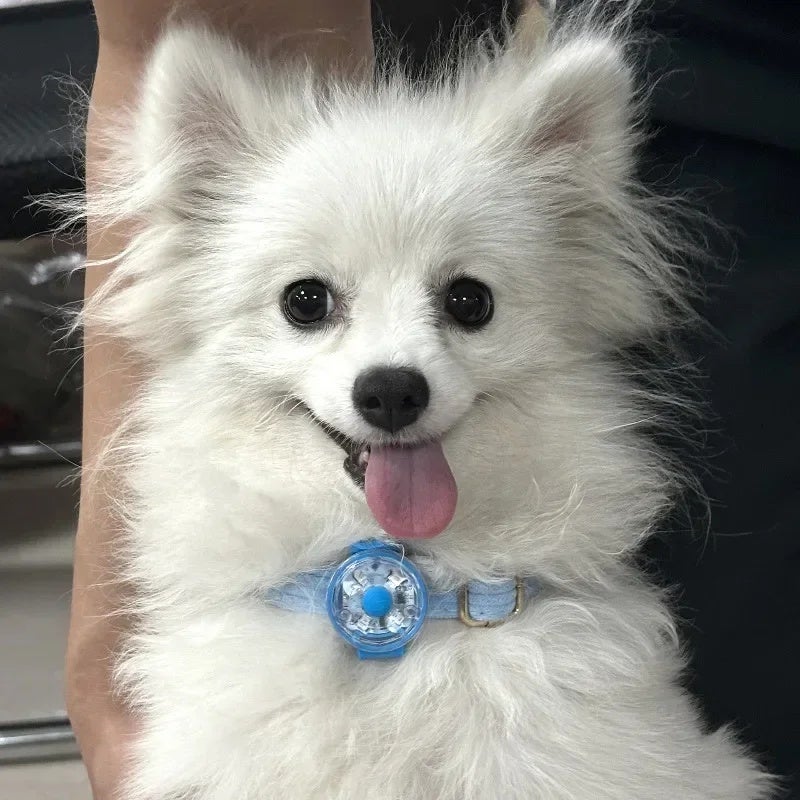 USB-C Rechargeable LED Dog Cat Collar - Image 3
