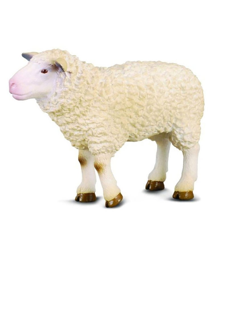 CollectA Collecta - Sheep - 88008 