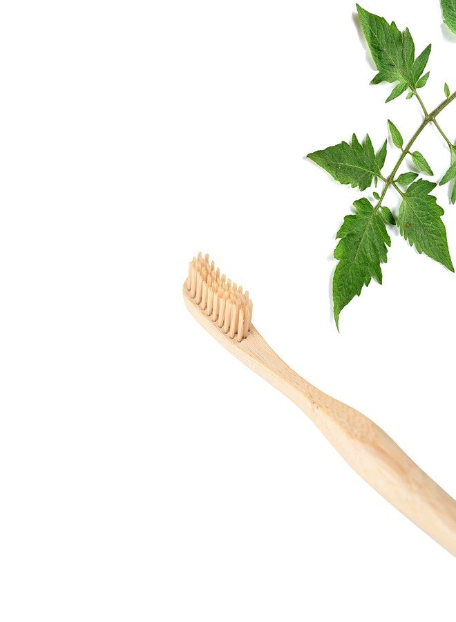 Premium Bamboo Toothbrush for Adults Ultra Soft Bristles - Biodegradable & Anti-Bacterial / Eco Friendly & Natural bristles - Image 5