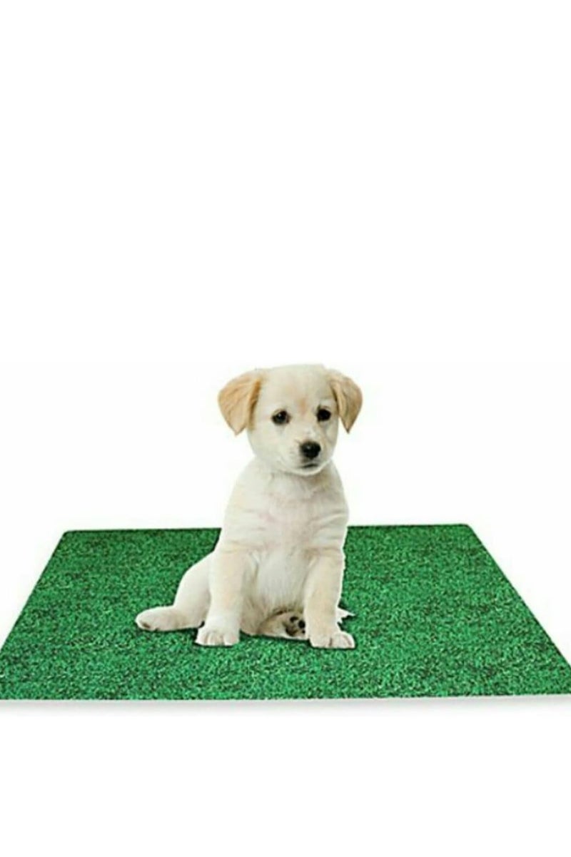 Artificial grass mat for cats and dogs made of green grass