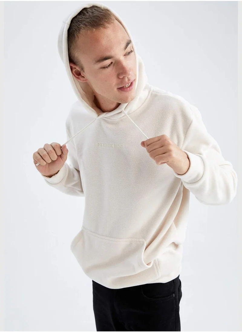 DeFacto Man Hooded Long Sleeve Knitted Sweatshirt