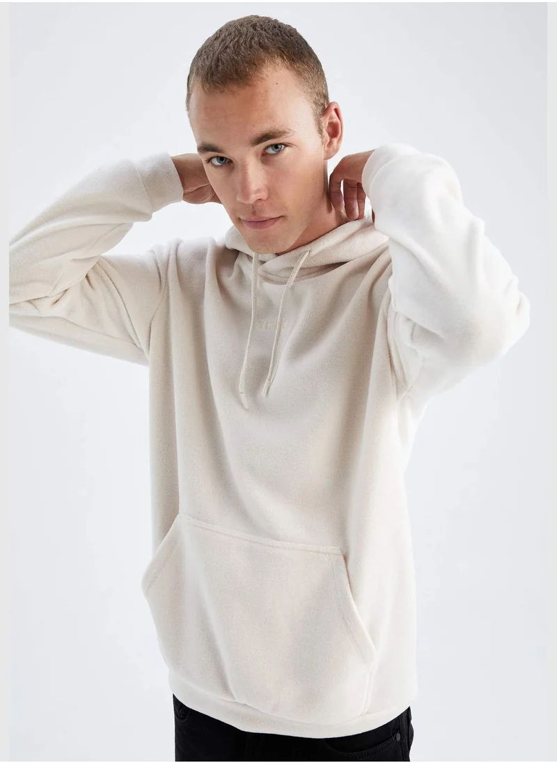 DeFacto Man Hooded Long Sleeve Knitted Sweatshirt