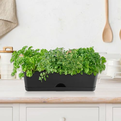KvyusFlourish 6 Pack Rectangle Planter 16x4.4 Inch Window Boxes Planters Rectangular Large Window Sill Planters Indoor Self Watering Plant Pots with Drainage Holes and Saucers Succulent Herb Flower Pots, Black - Image 2