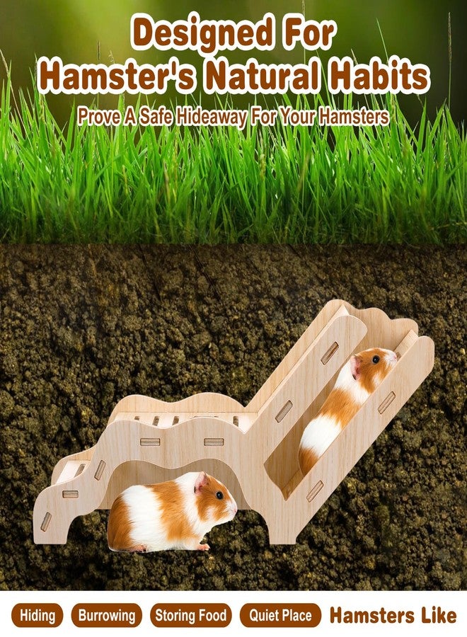 DOPENSPI Versatile Hamster Hideout and Exploration Tunnel, Snap-Together Wooden Hamsters Tunnel Burrow with Panoramic Window Hamster Explorer for Gerbils Hamsters Small Pets Chew-Safe - Image 2