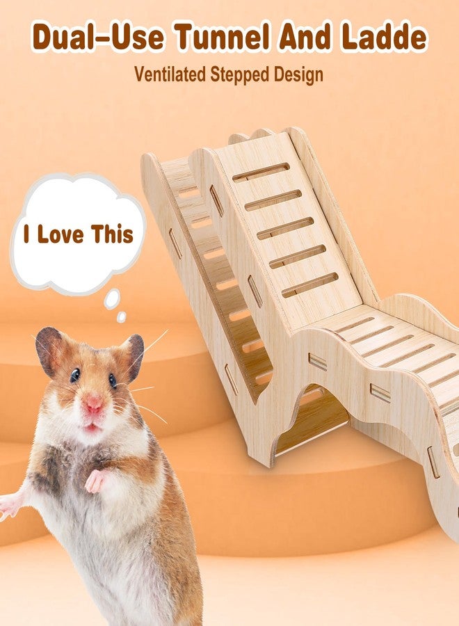 DOPENSPI Versatile Hamster Hideout and Exploration Tunnel, Snap-Together Wooden Hamsters Tunnel Burrow with Panoramic Window Hamster Explorer for Gerbils Hamsters Small Pets Chew-Safe - Image 3