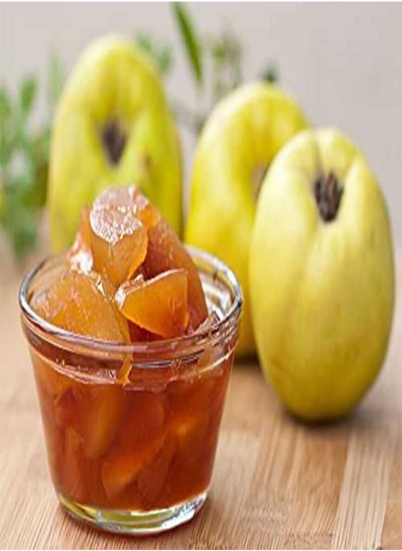 GGOOT 2 Seeds of Quince - CYDONIA Oblonga - Gift  - Image 2