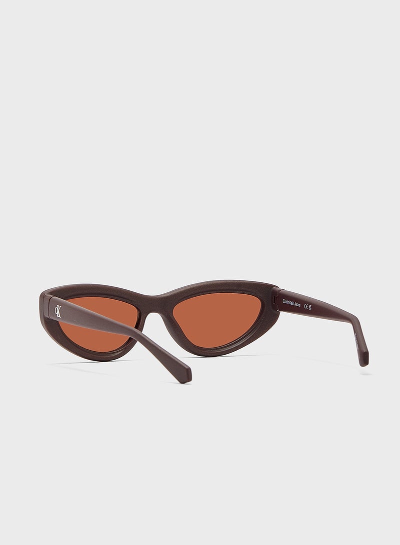 Calvin Klein Jeans Cat Eye Sunglasses  - Image 3