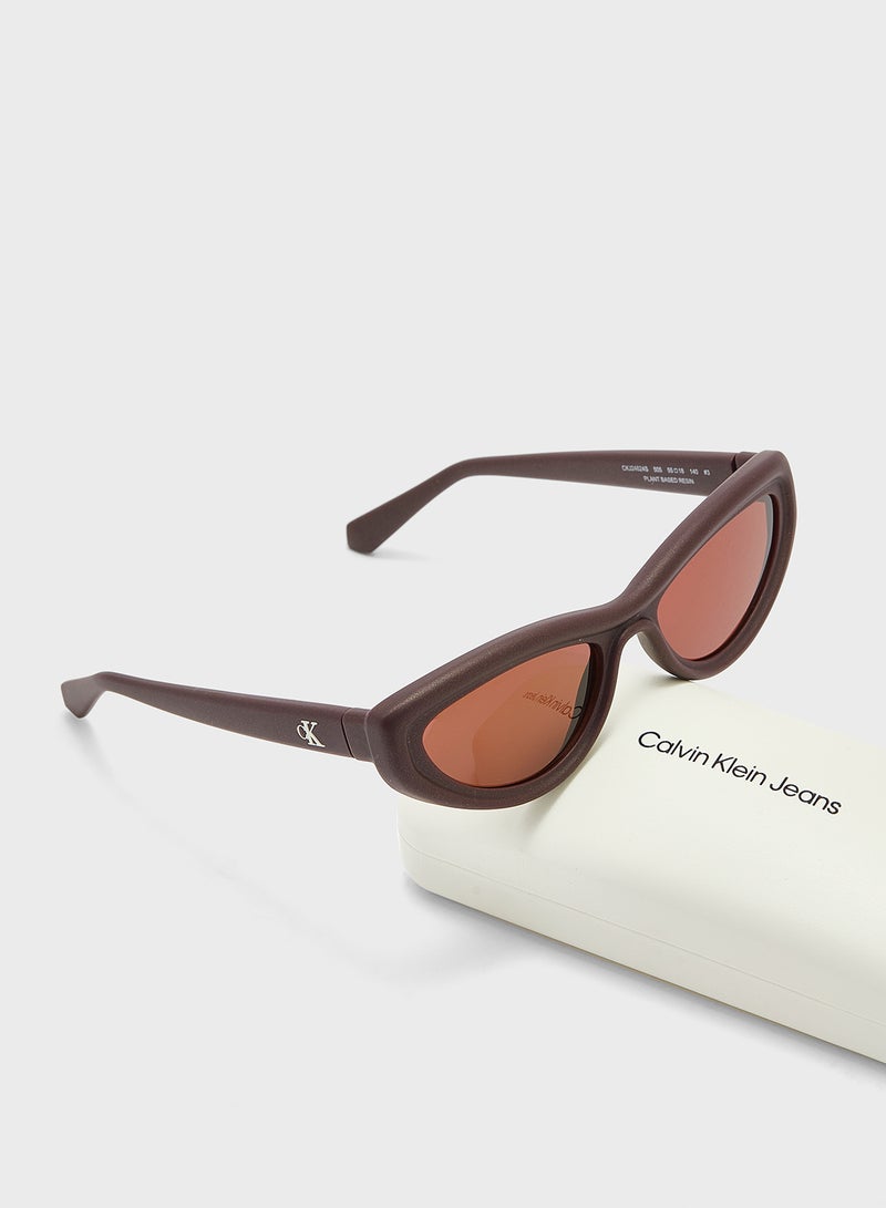 Calvin Klein Jeans Cat Eye Sunglasses  - Image 5