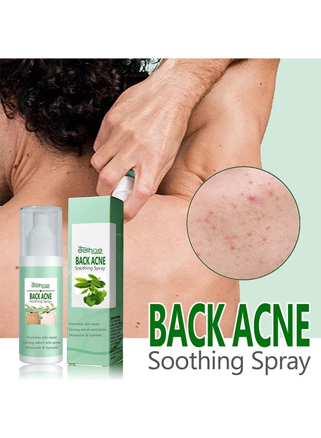EELHOE Back Acne Soothing Spray, Back Acne Spray, 2% Salicylic Acid Spray, Body Acne Treatment with Herbal Formula, Body Acne Spray, Tea Tree Oil Spray, Acne Treatment For Teens, Back Acne 120ml - Image 2
