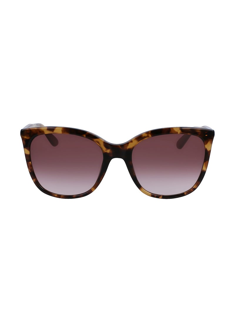 CALVIN KLEIN - Women's Rectangular Sunglasses - CK23500S-220-5519 - Lens Size: 55 Mm - Image 1