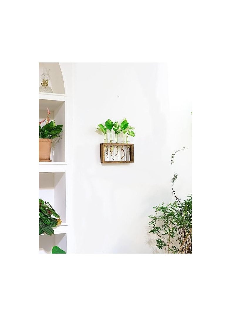 ORiTi Wall Mounted Hanging Plants Terrarium Test Tube Flower Bud Tabletop Glass Wooden Stand with 5 Test Tube Perfect  - Image 3