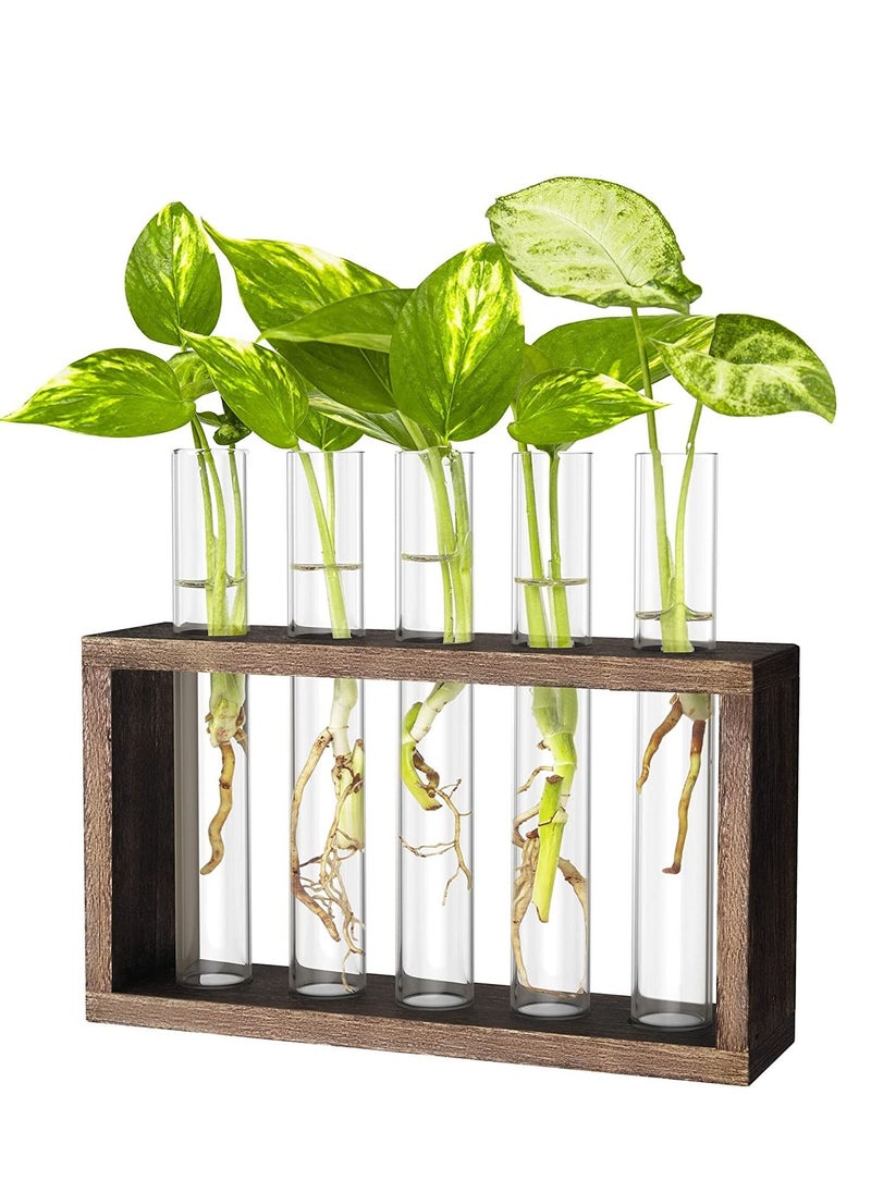 ORiTi Wall Mounted Hanging Plants Terrarium Test Tube Flower Bud Tabletop Glass Wooden Stand with 5 Test Tube Perfect  - Image 1