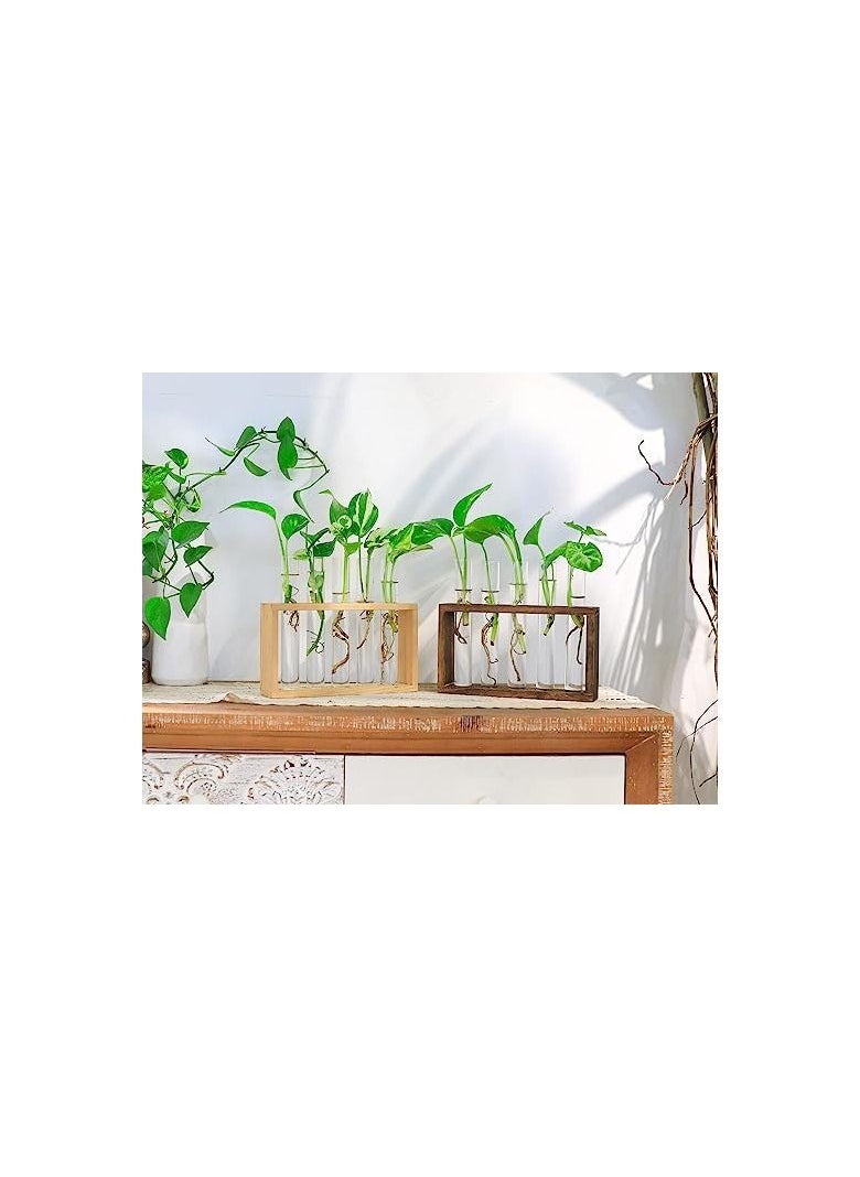 ORiTi Wall Mounted Hanging Plants Terrarium Test Tube Flower Bud Tabletop Glass Wooden Stand with 5 Test Tube Perfect  - Image 4