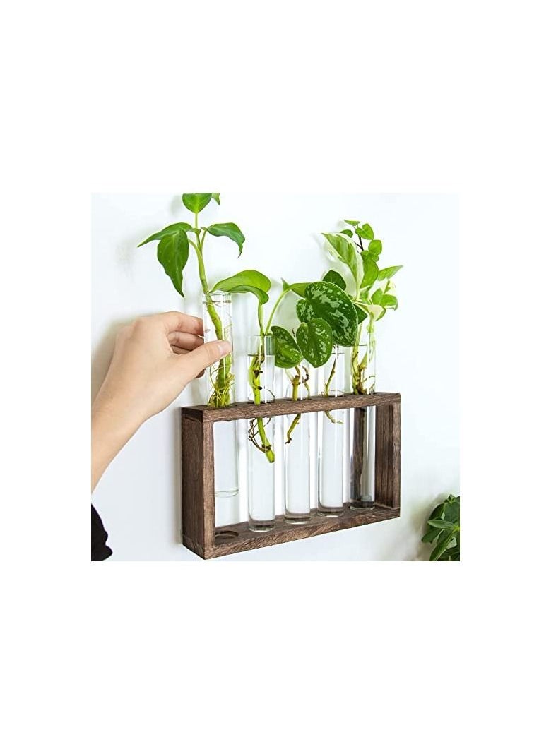 ORiTi Wall Mounted Hanging Plants Terrarium Test Tube Flower Bud Tabletop Glass Wooden Stand with 5 Test Tube Perfect  - Image 2