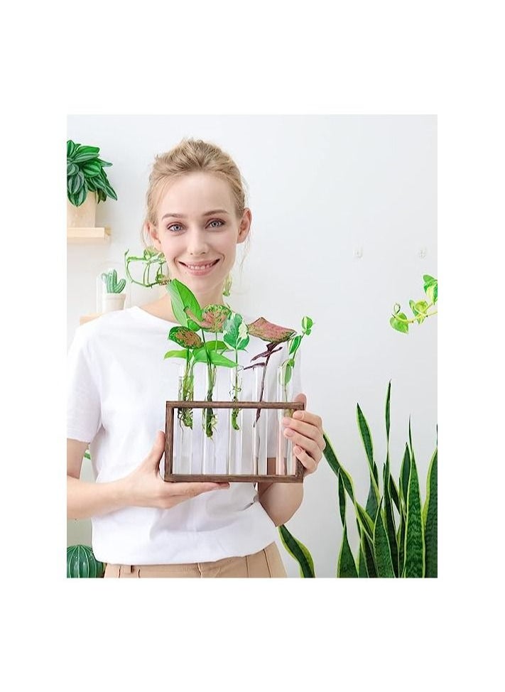 ORiTi Wall Mounted Hanging Plants Terrarium Test Tube Flower Bud Tabletop Glass Wooden Stand with 5 Test Tube Perfect  - Image 5