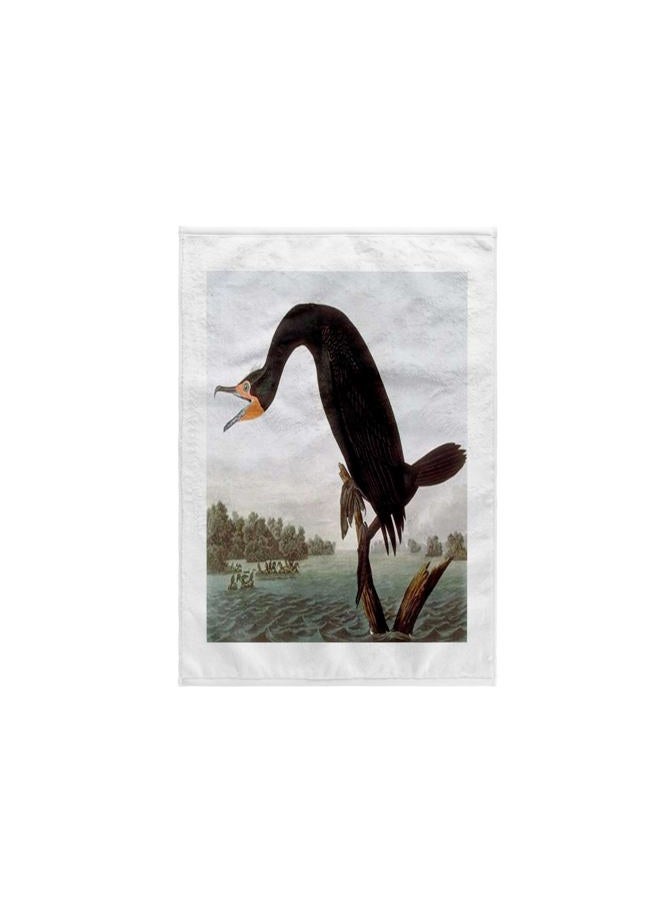 3DROSE 3D Rose Vintage John J Audubon Painting of Cormorant Bird Hand/Sports Towel, 15 x 22 - Image 1