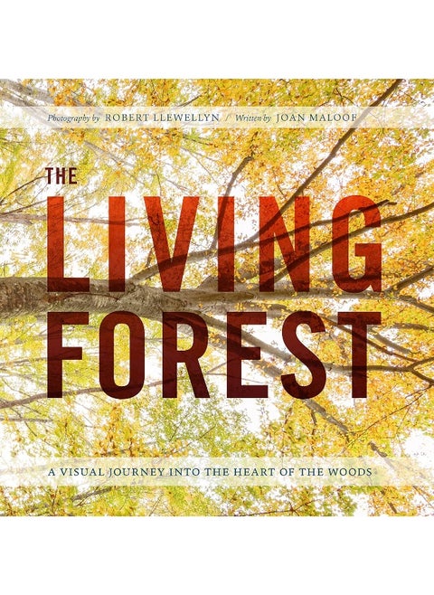 The Living Forest: A Journey Into Nature's Most Intricate Habitat