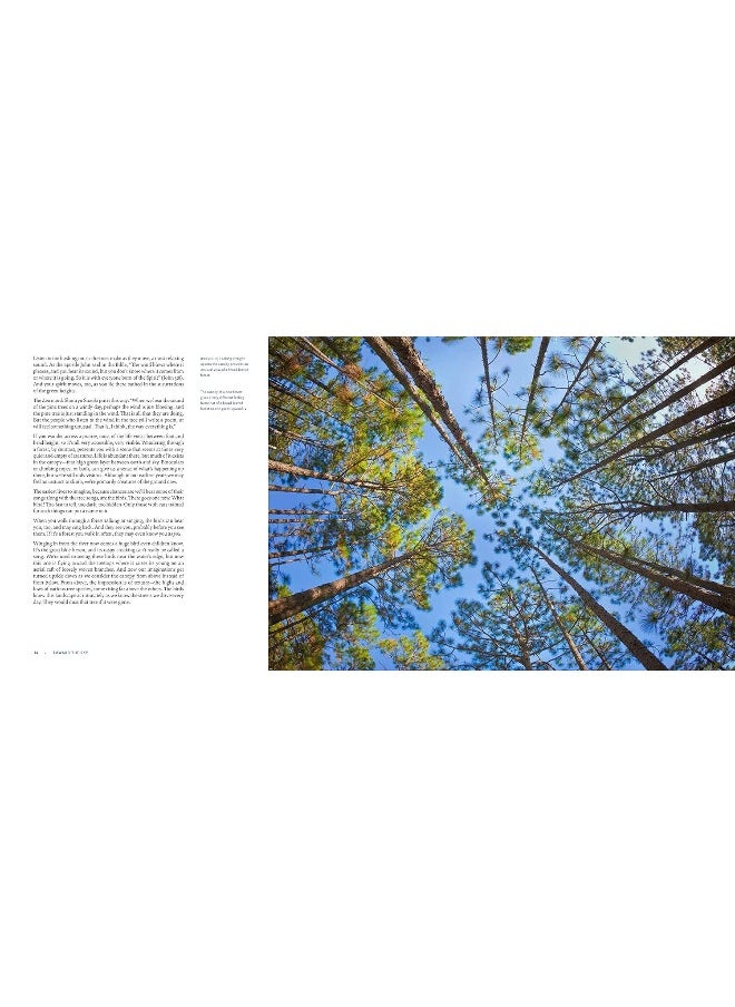The Living Forest: A Journey Into Nature's Most Intricate Habitat