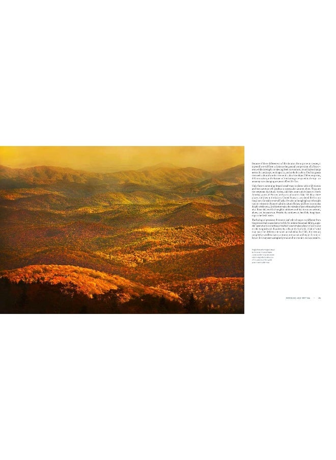 The Living Forest: A Journey Into Nature's Most Intricate Habitat