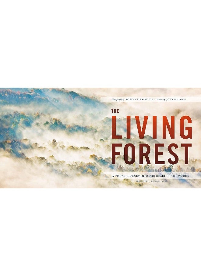 The Living Forest: A Journey Into Nature's Most Intricate Habitat