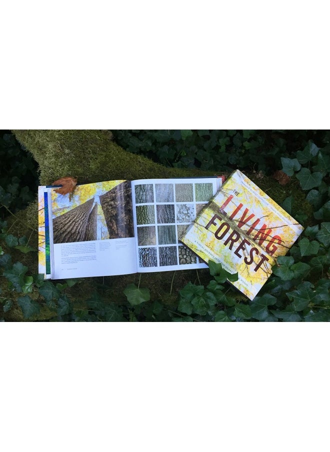 The Living Forest: A Journey Into Nature's Most Intricate Habitat
