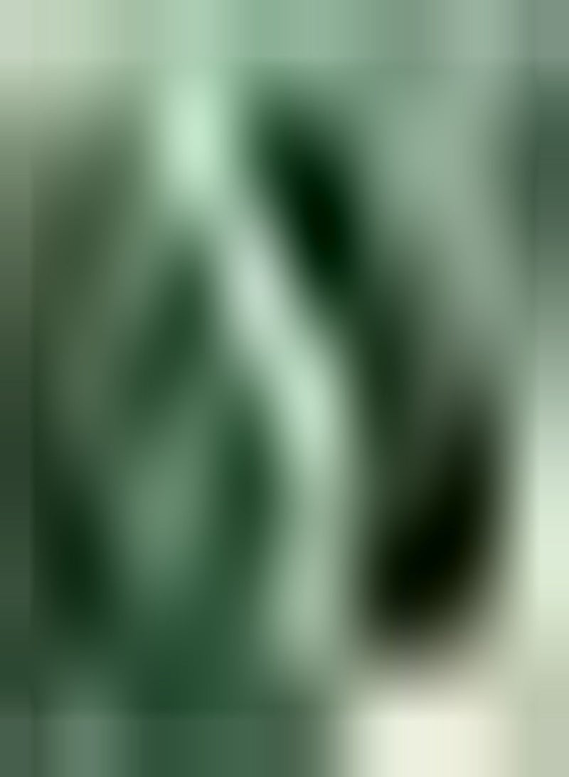 GGOOT seeds Buxus microphylla sinica (Chinese Boxwood)   50 Seeds - Image 2