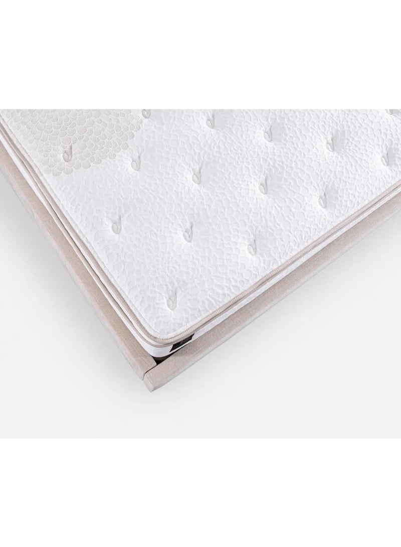 SAPSA BEDDING Amicone Mattress with Aqua Gel Memory Foam and Pocket Spring Natural Mocha - Image 4