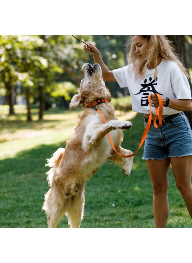 CollarDirect Reflective Dog Collar for a Small, Medium, Large Dog or Puppy with a Quick Release Buckle - Boy and Girl - Nylon Suitable for Swimming (12-16 Inch, Orange) - Image 2