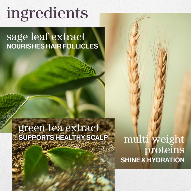 PUREOLOGY بلسم بيوولوجي هيدرات المرطب | ينعّم ويرطب الشعر الجاف بعمق | للشعر الملون أو الطبيعي متوسط إلى كثيف | بلسم خالي من الكبريتات | نباتي - Image 5