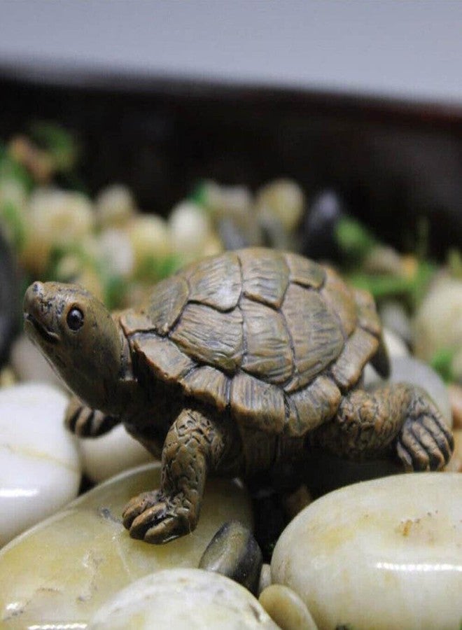 TEAMWILL تمثال سلحفاة خارجي من TEAMWILL، قطعتان، تمثال سلحفاة للحديقة، قطعة ديكور منزلي منحوتة - Image 2