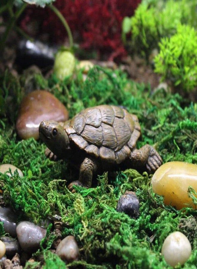 TEAMWILL تمثال سلحفاة خارجي من TEAMWILL، قطعتان، تمثال سلحفاة للحديقة، قطعة ديكور منزلي منحوتة - Image 4