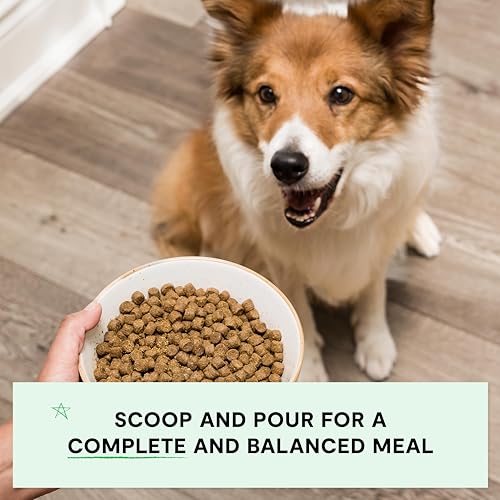 Open Farm GrainFree Dry Dog Food Complete Balanced Kibble Sustainably Ethically Sourced Ingredients NonGMO Veggies Superfoods CatchofTheSeason Whitefish Recipe 4lb Bag - Image 3