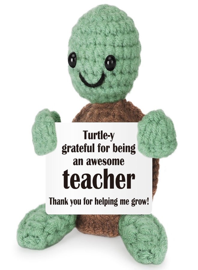 WELLBANEE Funny Easter Basket Stuffers Turtle Gifts for Teacher, Thank You Gifts for Mentor, Professor, Coach, Coworker, Appreciation Gift for End of Year, Graduation, Birthday Desk Decorations for Women Office - Image 1