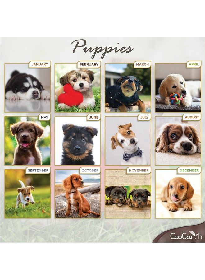 EcoEarth Biodegradable 11X22 Inch (Open) 18Month Vertical Hanging Wall Calendar Jul 2023 Dec 2024 Monthly Calendar Cute Puppies - Image 3