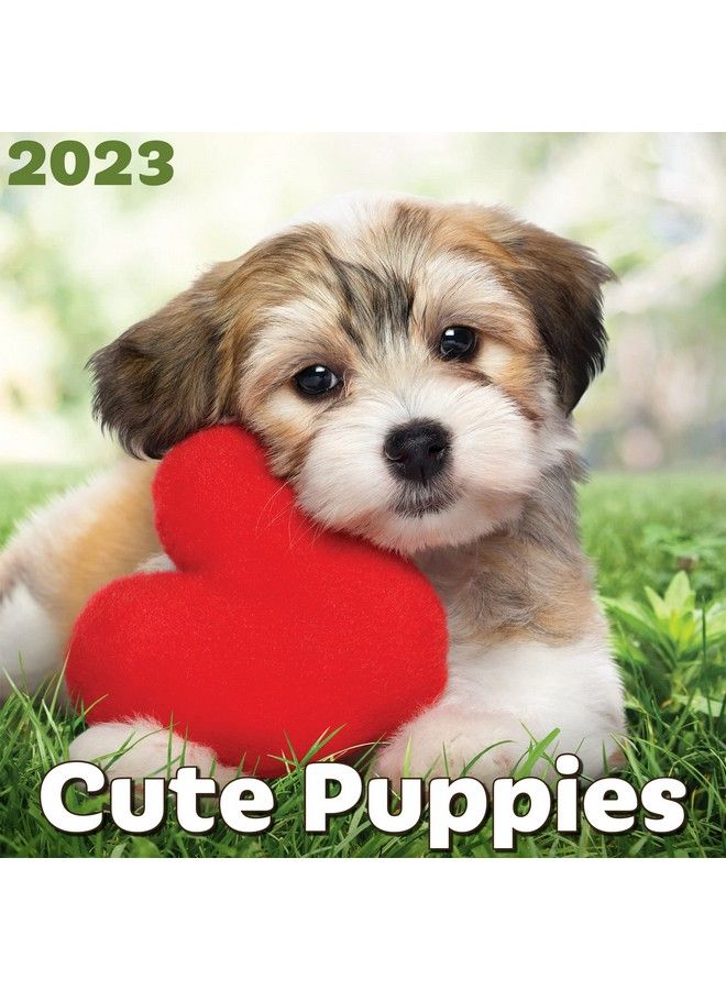 EcoEarth Biodegradable 11X22 Inch (Open) 18Month Vertical Hanging Wall Calendar Jul 2023 Dec 2024 Monthly Calendar Cute Puppies - Image 2