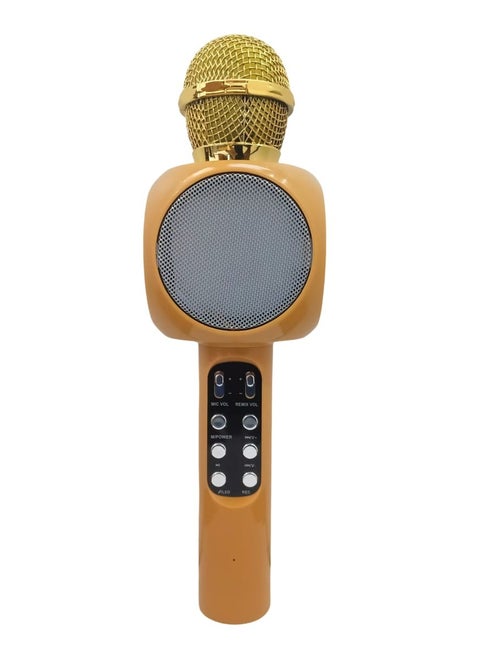 Advanced Multifunctional Wireless Bluetooth Portable Karaoke Singing Microphone Speaker