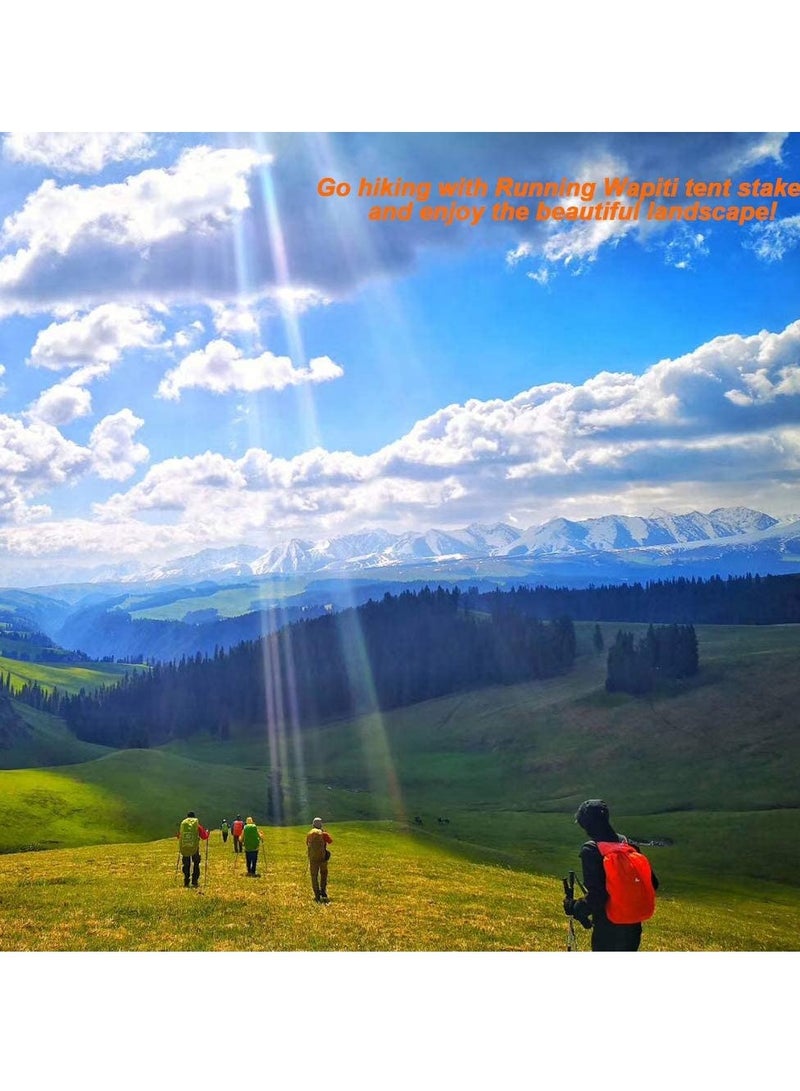 Excefore Beach Tent Stakes, Canopy Anchors Canopy Stakes, Heavy Duty Screw Shape 10 inch - 8 Pack Orange - Image 3