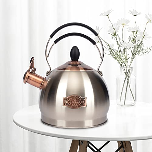 LUXGRACE Whistling Tea Kettle Stainless Steel Teapot, Teakettle for Stovetop Induction Stove Top, Fast Boiling Heat Water Tea Pot 2.6 Quart - Image 5