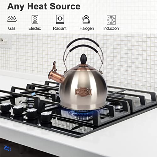 LUXGRACE Whistling Tea Kettle Stainless Steel Teapot, Teakettle for Stovetop Induction Stove Top, Fast Boiling Heat Water Tea Pot 2.6 Quart - Image 2
