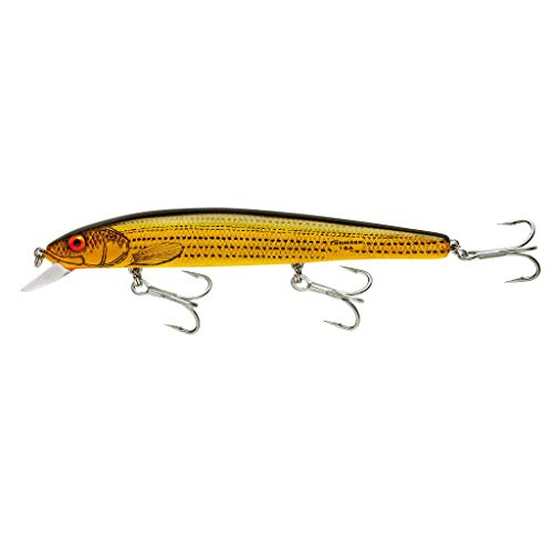 BOMBER Salt Water Heavy Duty Long-A Bait, Yellow Baby Striper, 6-Inch, 7/8 oz, (BSW16AXYBS) - Image 3