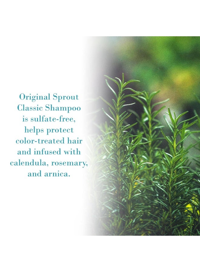 Original Sprout شامبو أوريجنال سبراوت الكلاسيكي لجميع أنواع الشعر، خالي من الكبريتات وشامبو نباتي، زجاجة 32 أونصة - Image 4