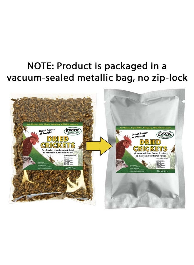 EXOTIC NUTRITION 1/2 Pound Dried Crickets - High Protein Insect Treat - Chickens, Wild Birds, Hedgehogs, Bluebirds, Reptiles, Sugar Gliders, Opossums, Skunks, Lizards, Bearded Dragons, Fish, Turtles 8 oz. (1 Pack)  - Image 5