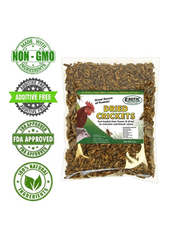 EXOTIC NUTRITION 1/2 Pound Dried Crickets - High Protein Insect Treat - Chickens, Wild Birds, Hedgehogs, Bluebirds, Reptiles, Sugar Gliders, Opossums, Skunks, Lizards, Bearded Dragons, Fish, Turtles 8 oz. (1 Pack)  - Image 4