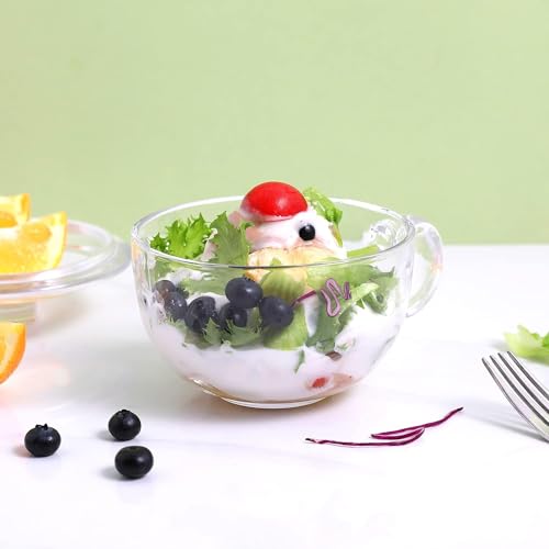 Red-Rubby Soup Bowl with Handle 450ml Clear Glass Oatmeal Breakfast Bowls Microwave Safe Glassware Yogurt Bowl for Dessert Pasta Rice Noodle, (Pack of 2) - Image 5