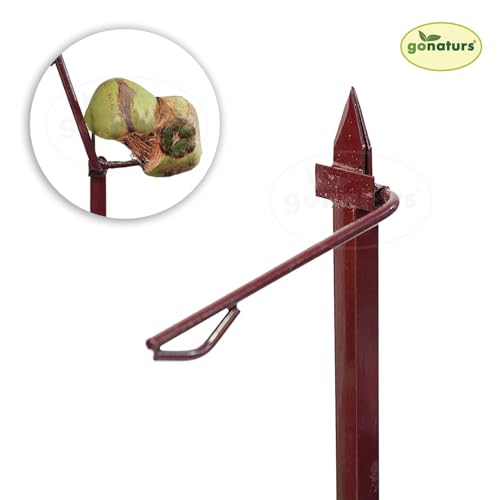GONATURS Manual Iron Coconut Husk Peeler - Dehusker Machine (Naral Solini) Natural Coconut Shell Separator | Skin Remover/Opener Tool | Heavy Weight - Image 3